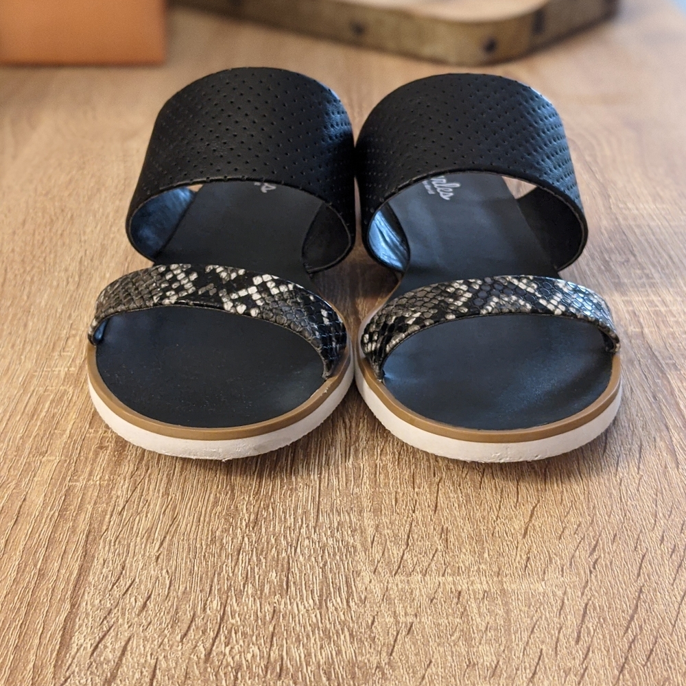 2/$10 Charles by Charles David Black/Snake Sandals - Picture 3 of 5